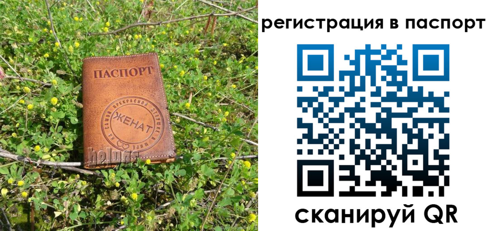 прописка законно в Болотном